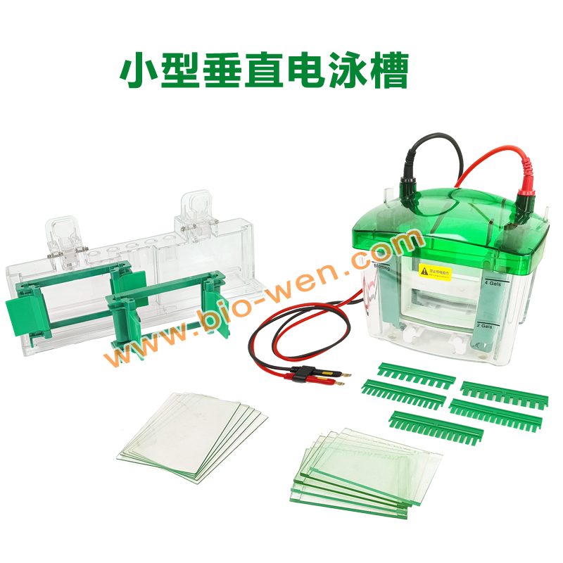 BW-M4型 小型垂直電泳槽